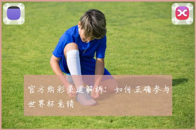 官方购彩渠道解析:如何正确参与世界杯竞猜