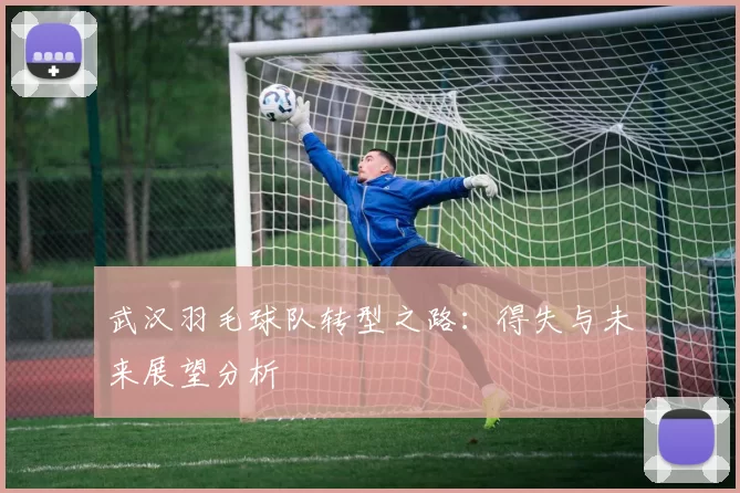 武汉羽毛球队转型之路：得失与未来展望分析