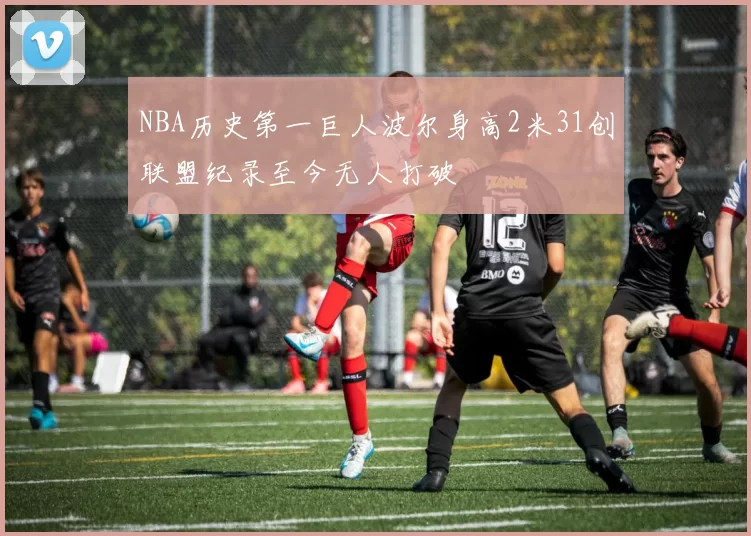 NBA历史第一巨人波尔身高2米31创联盟纪录至今无人打破