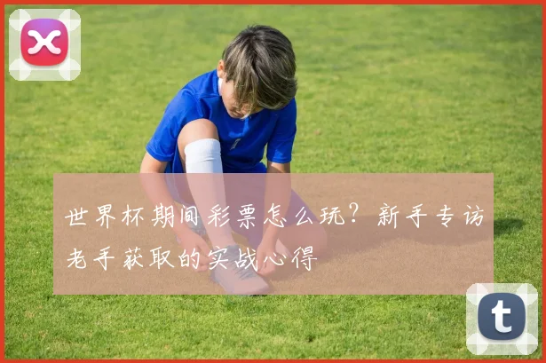 世界杯期间彩票怎么玩？新手专访老手获取的实战心得