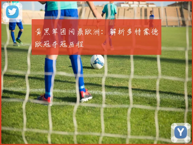 黄黑军团问鼎欧洲:解析多特蒙德欧冠夺冠历程