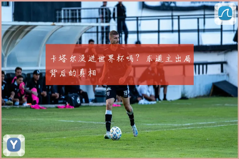 卡塔尔没进世界杯吗？东道主出局背后的真相