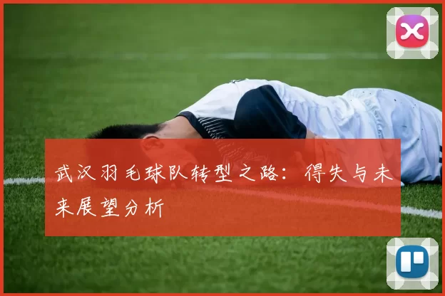 武汉羽毛球队转型之路：得失与未来展望分析