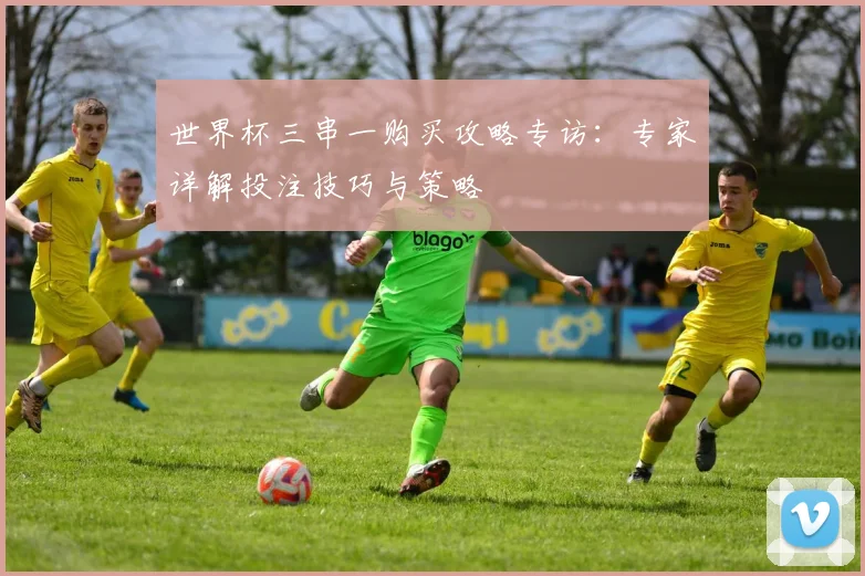世界杯三串一购买攻略专访:专家详解投注技巧与策略