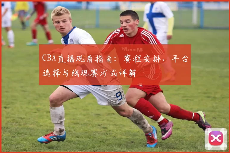 CBA直播观看指南：赛程安排、平台选择与线观赛方式详解