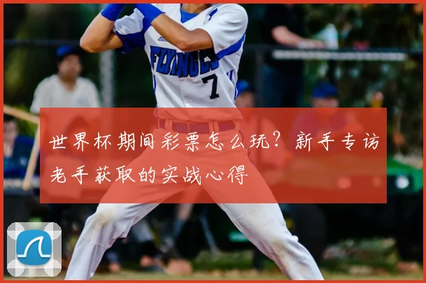 世界杯期间彩票怎么玩？新手专访老手获取的实战心得