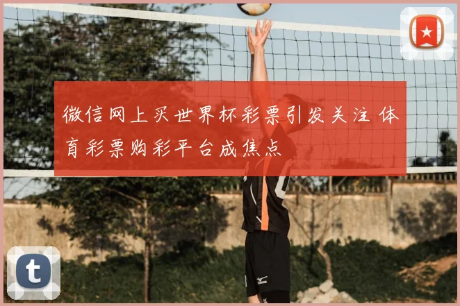 微信网上买世界杯彩票引发关注 体育彩票购彩平台成焦点