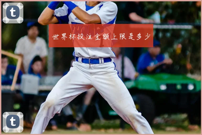 世界杯投注金额上限是多少