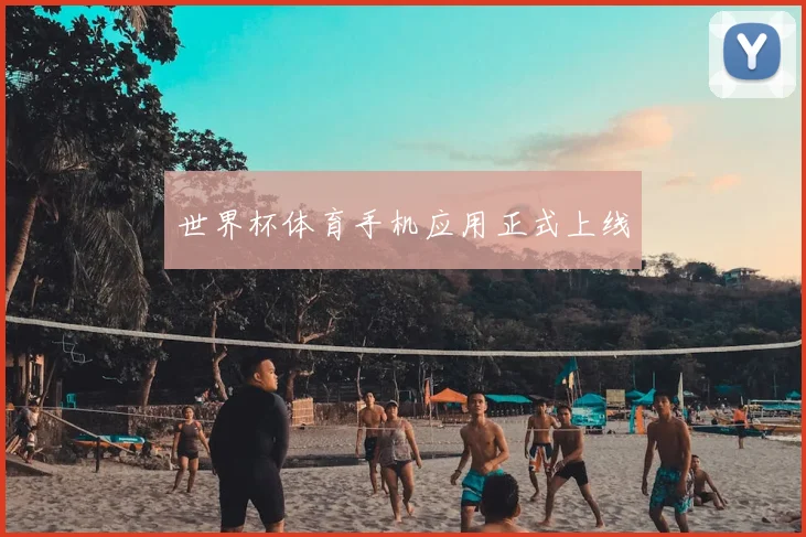 世界杯体育手机应用正式上线