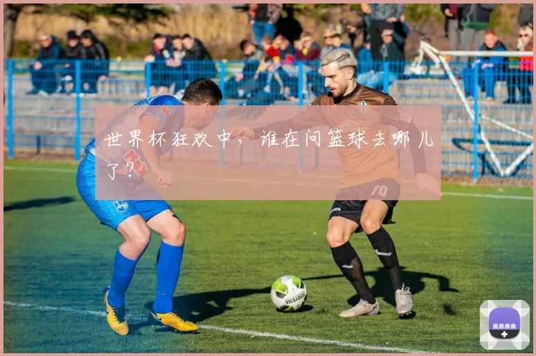 世界杯狂欢中,谁在问篮球去哪儿了?