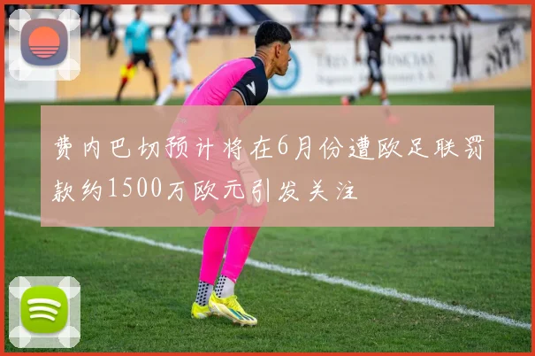 费内巴切预计将在6月份遭欧足联罚款约1500万欧元引发关注