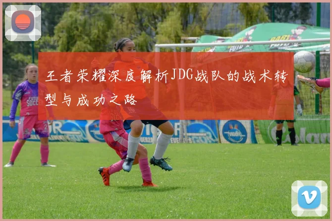 王者荣耀深度解析JDG战队的战术转型与成功之路