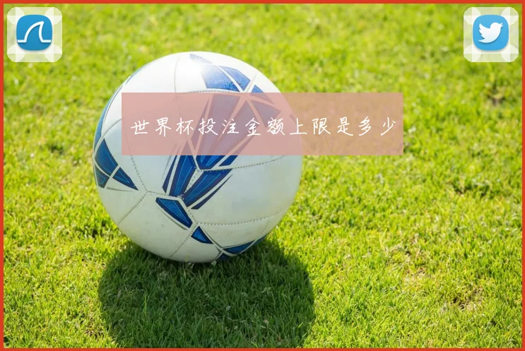 世界杯投注金额上限是多少