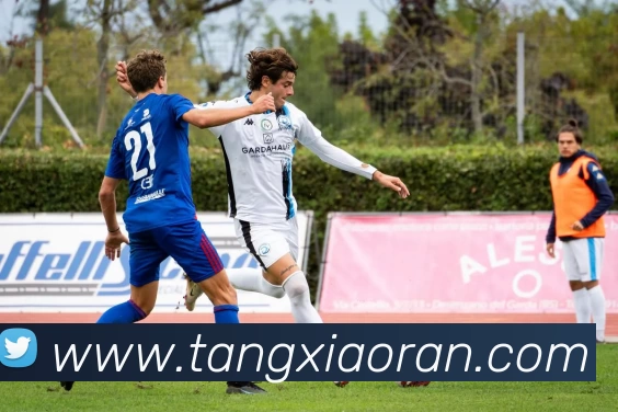 星空体育平台生态图