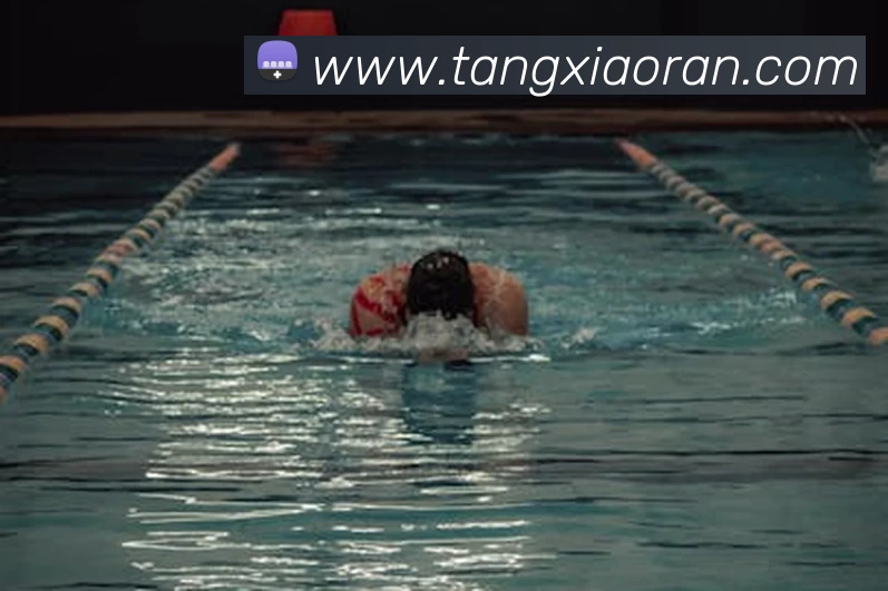 星空体育APP 封面图